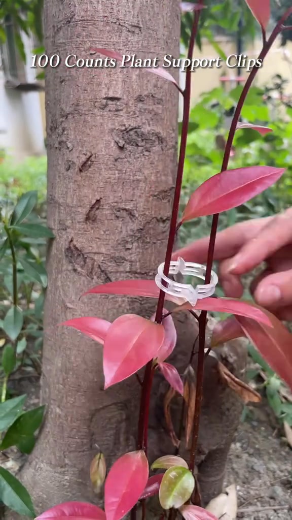 Reusable Plant Support Clips