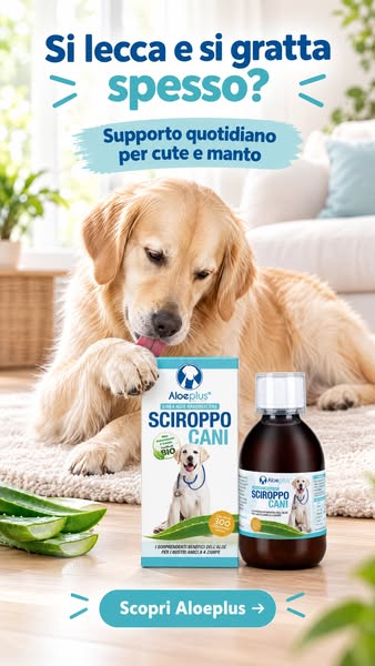 Supporto per le articolazioni
