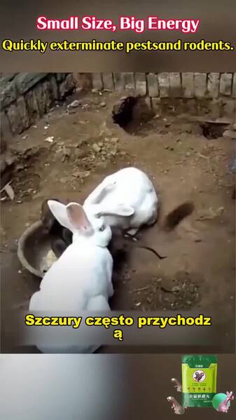 Darmowa wysyłka, płatność przy odbiorze