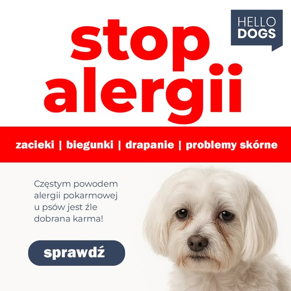 Sprawdź karmę z dobrym składem
