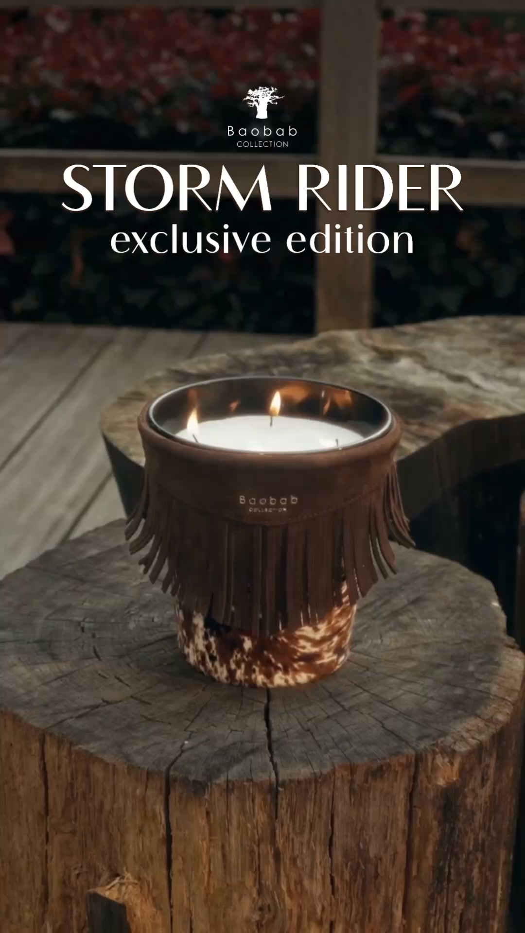 Discover our limited edition