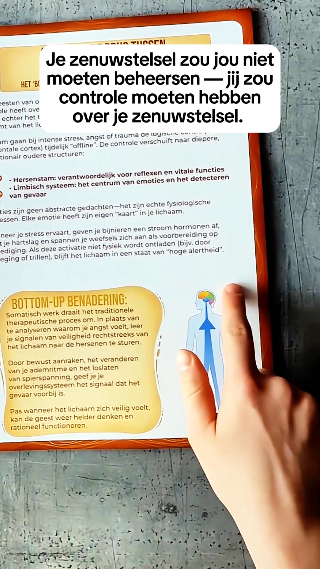 Werkboek Somatische Therapie