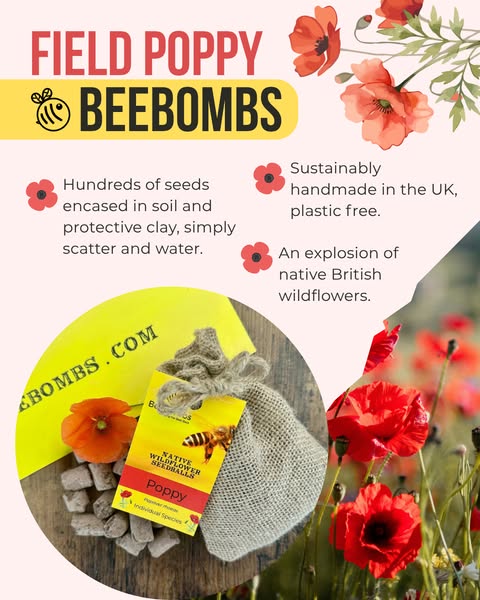 Poppy Bombs for you and the bees