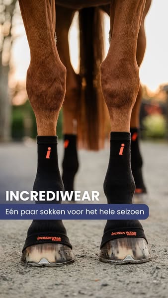 Eén paar sokken voor het hele seizoen