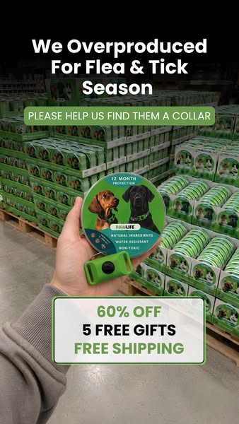 Provide a tick-free life for your pet