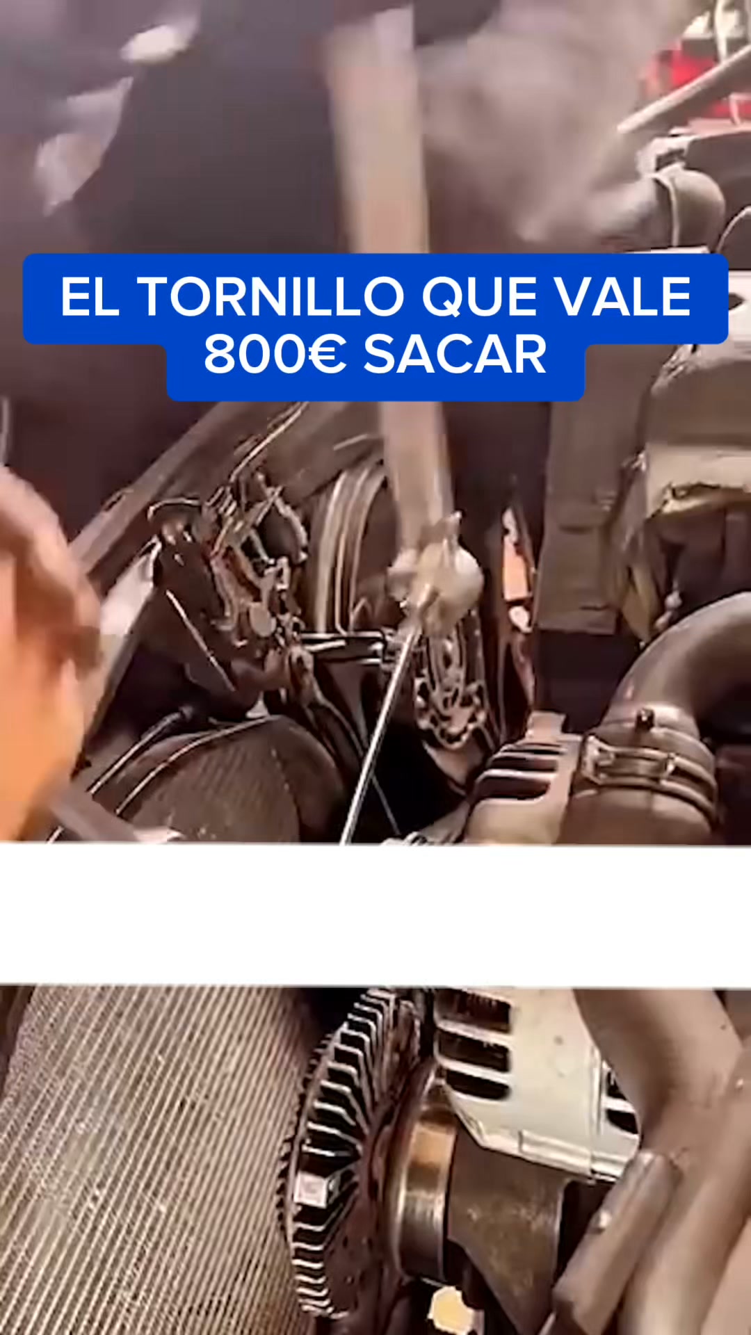 Imprescindible para mecánicos