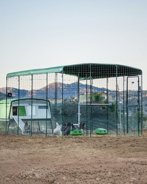 Spacious, secure chicken runs