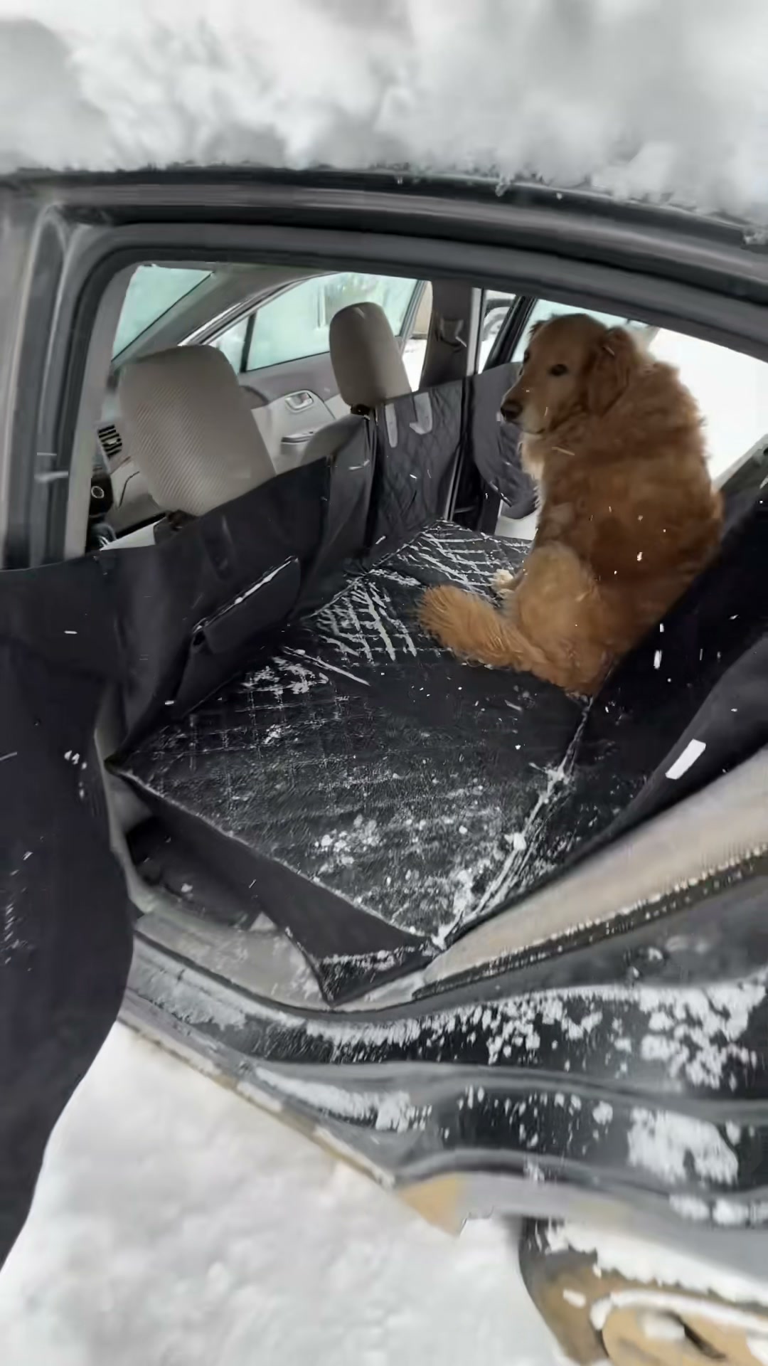 48% off sale Hard Bottom Backseat Extenders for Dogs with Door Protection