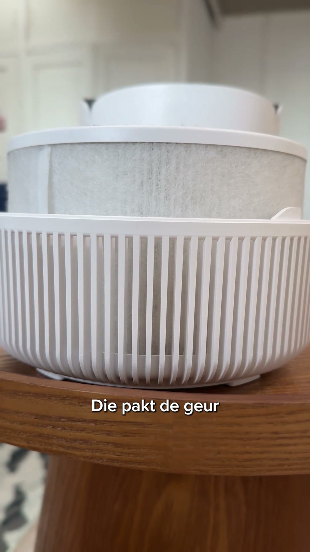 Hou je huisdier . Weg met de huisdiergeur.