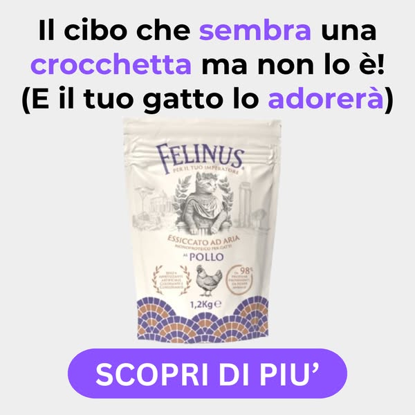 Cosa c'è DAVVERO nelle sue crocchette?