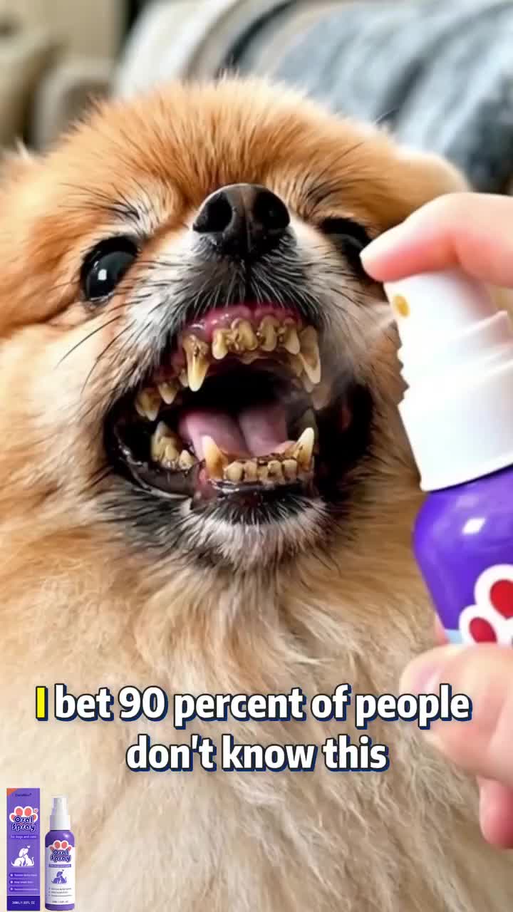 Pet Dental Tartar Care Spray