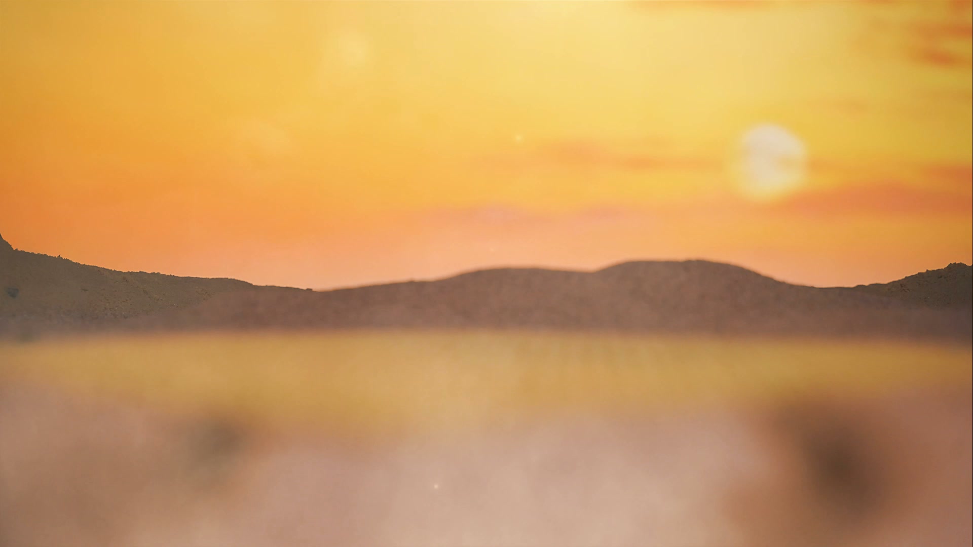 Own The Wild West