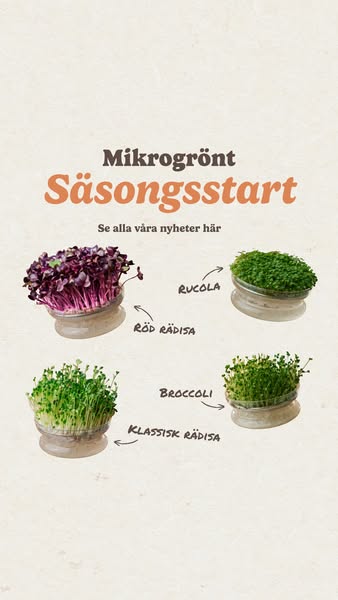 Microgreens-säsongen är igång!