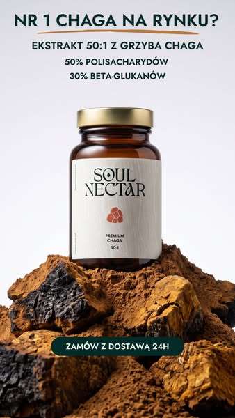 Prawdziwa Chaga jakości premium