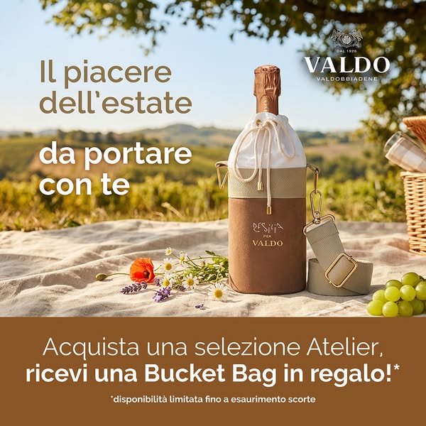 Bucket Bag Valdo x Resilia in omaggio
