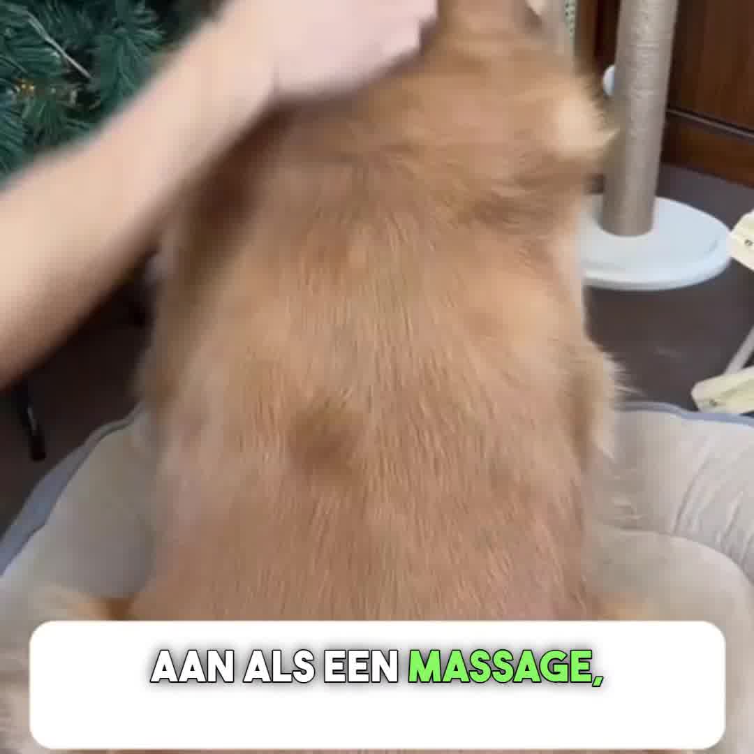 Alleen vandaag 1+1 GRATIS!