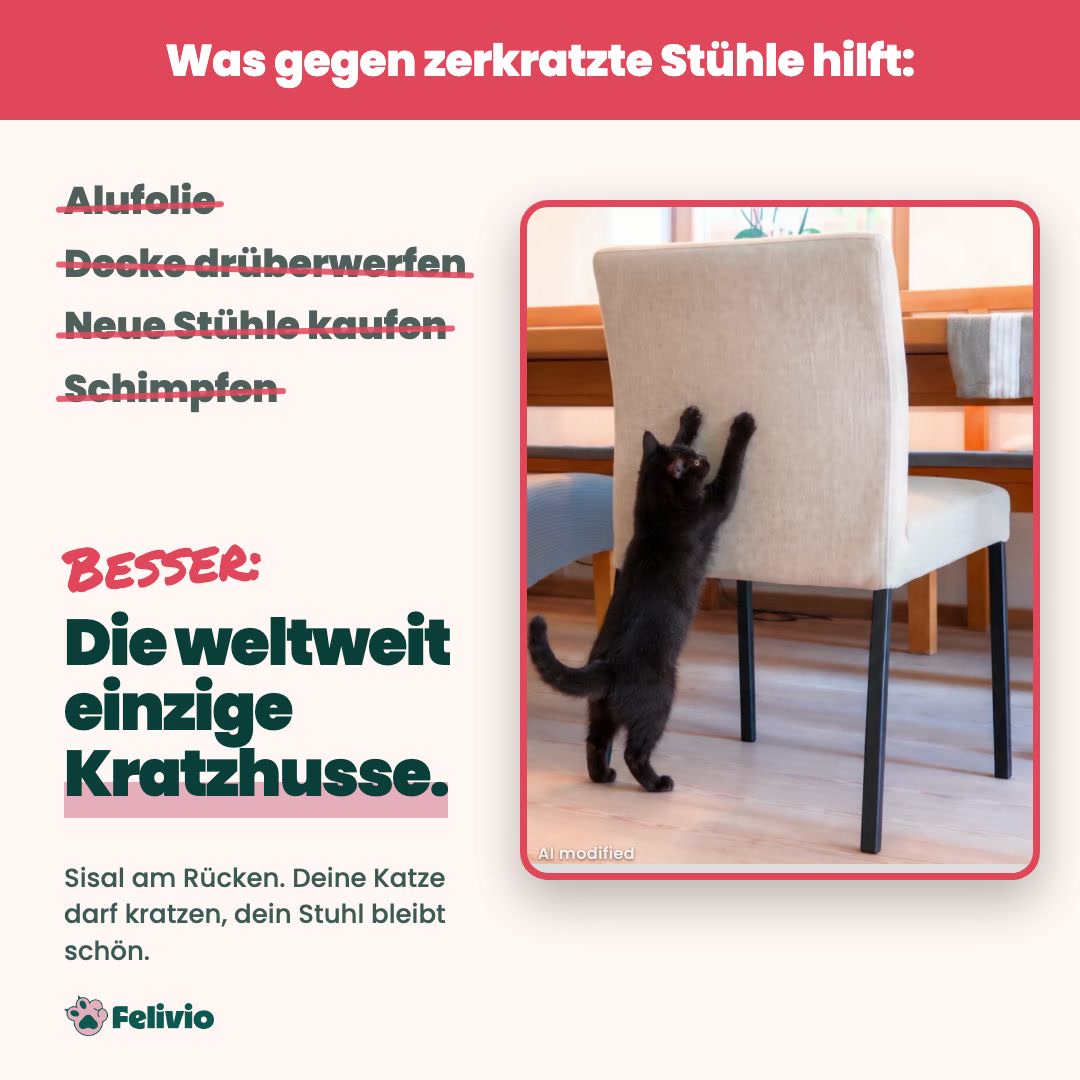 Zerkratzte Stühle durch Katzenkrallen?