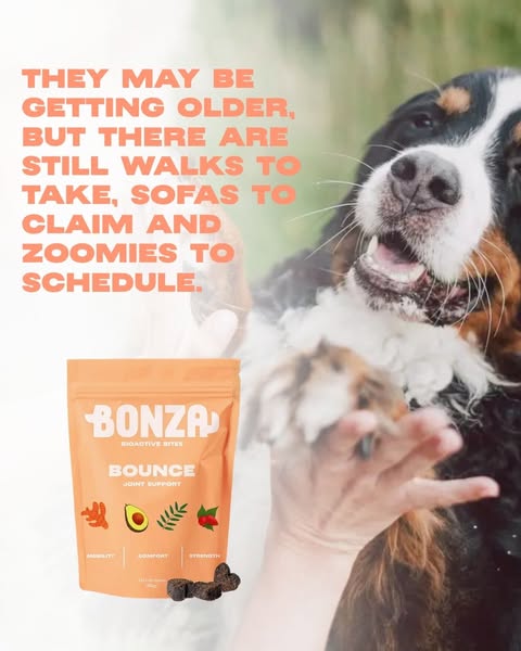 Supplement treats chews dogs
