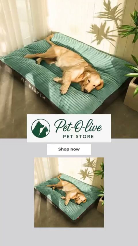 Make Pet Care Effortless