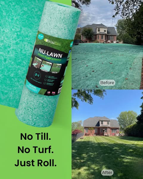 Get a Lush Green Lawn That's the Envy of Your Neighbours!