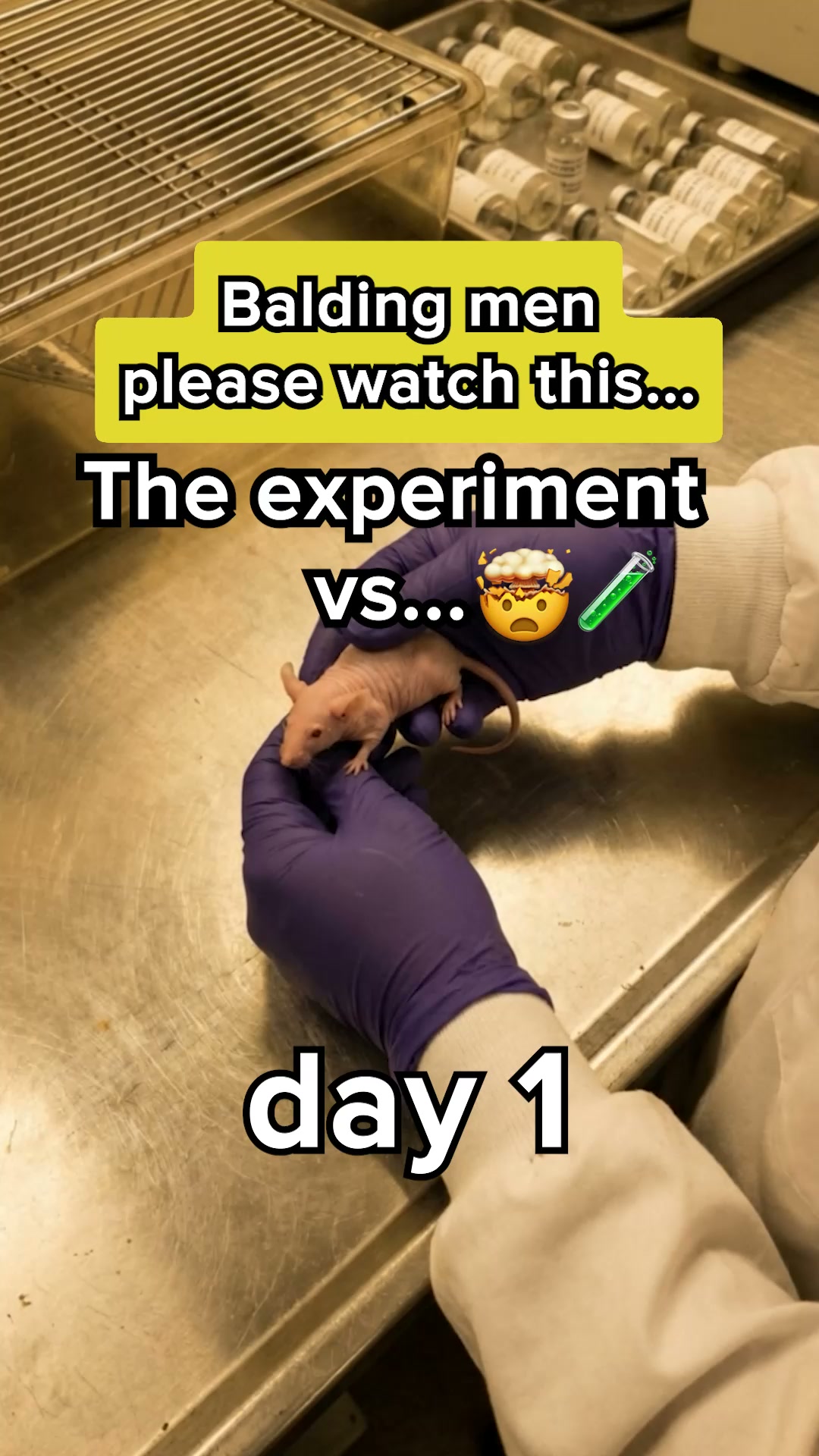 The 90-Day Experiment