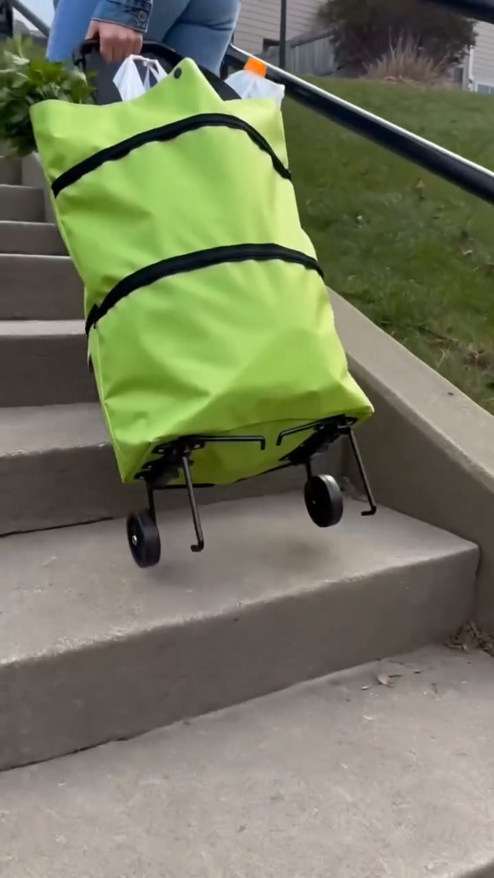 2 in 1 Foldable Shopping Cart