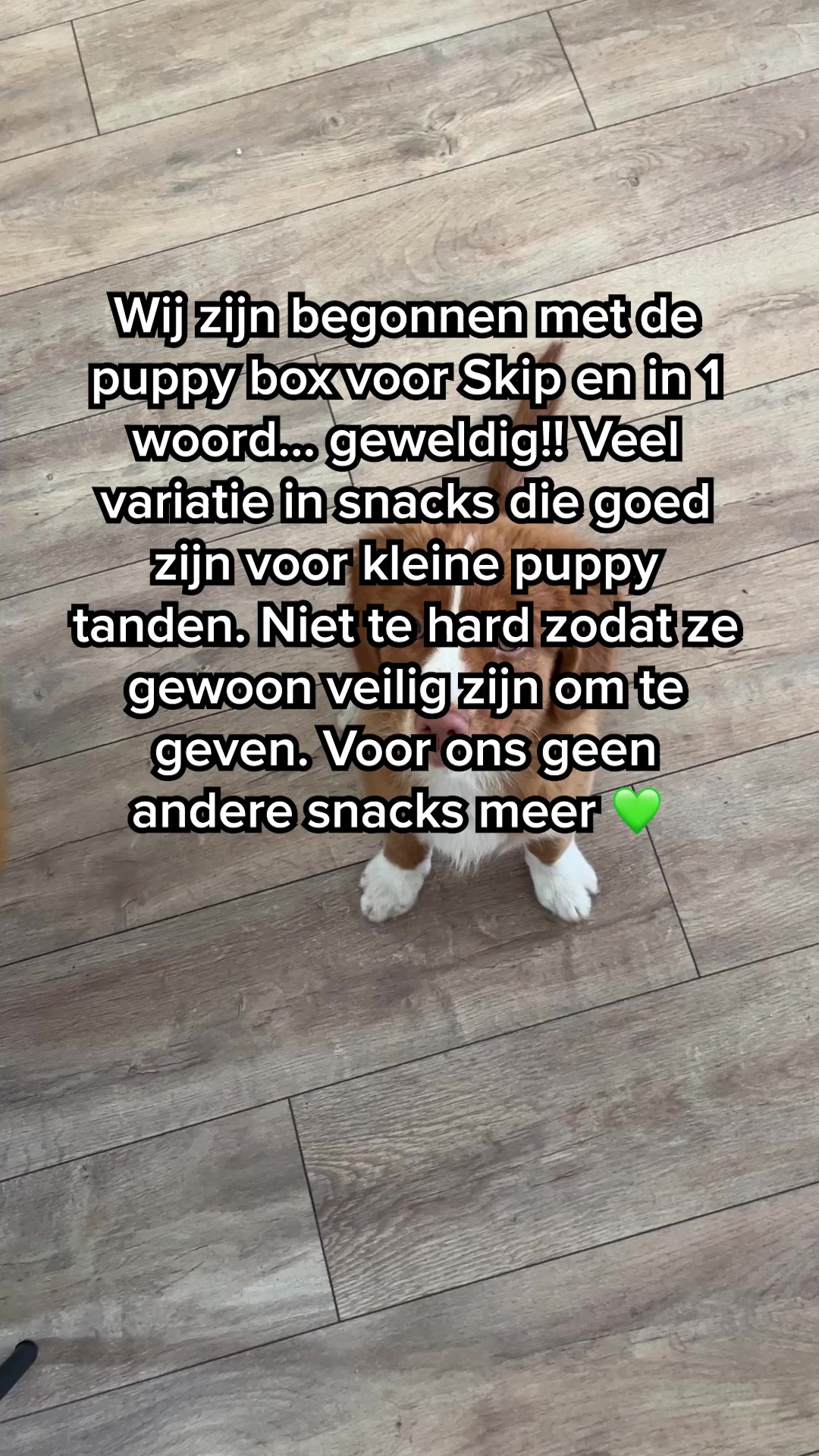 Ontdek de snackbox voor jouw hond