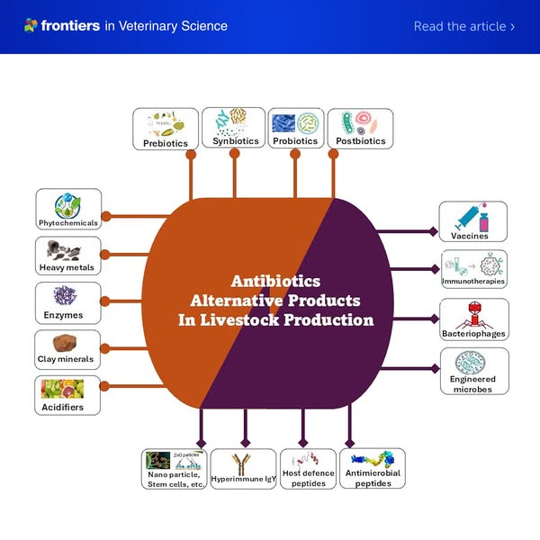 Read now | Alternatives to antibiotics for sustainable livestock production