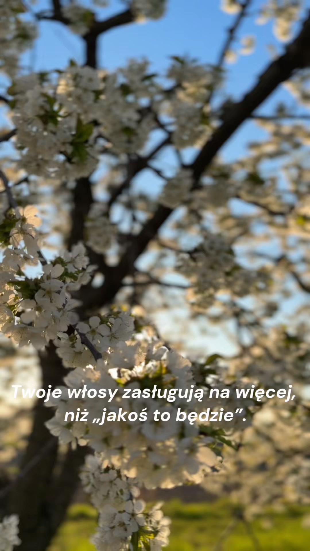 Pierwsza suszarka z plazmą w Polsce
