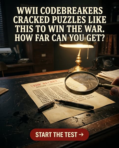 Try Now --->