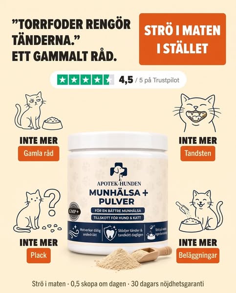 Nästan ingen borstar kattens tänder