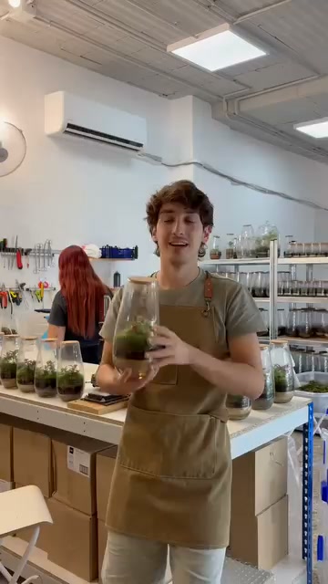 Tu jardín en un frasco, ya plantado