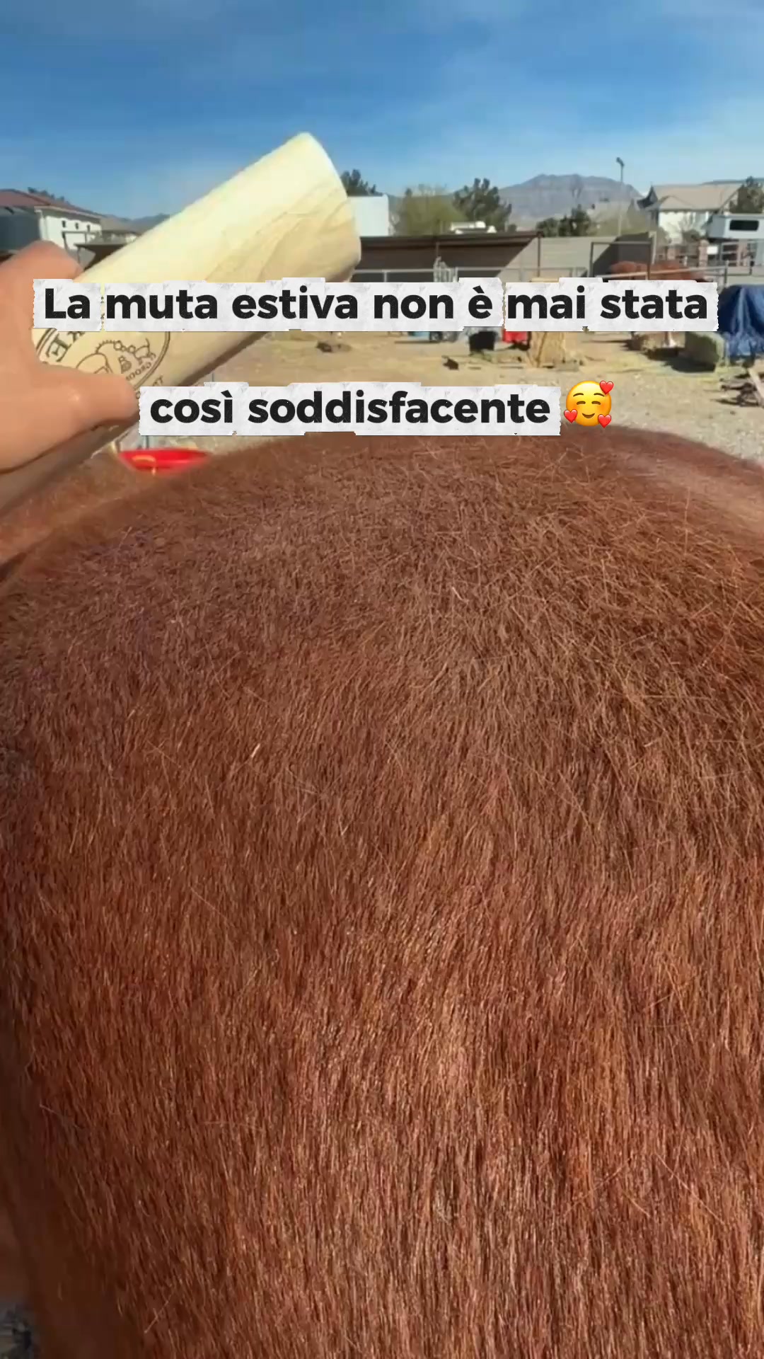 Provalo per 30 giorni senza alcun rischio