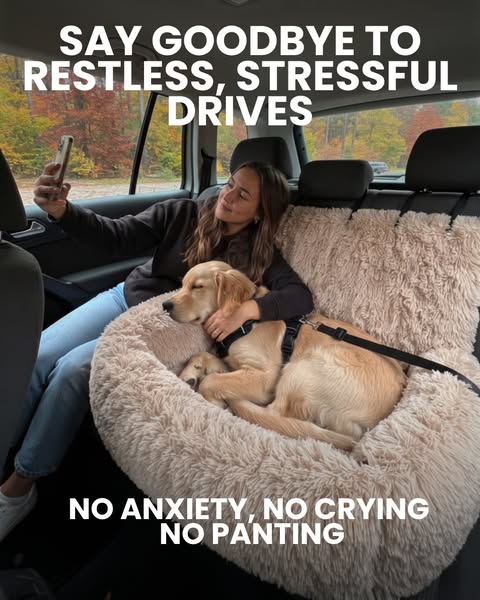 Trusted by 30,000+ dog owners