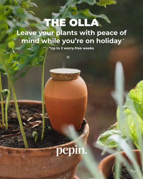 Your plants deserve a holiday too