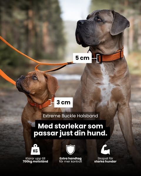 Valt av över 100 000 hundägare