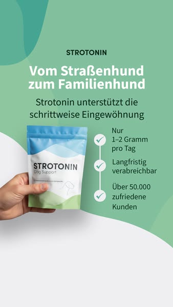 Entspannung für Hunde