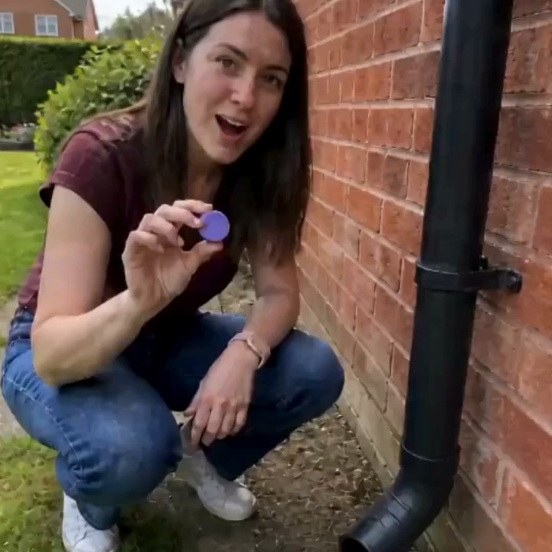 Take Your Home Back From Pests