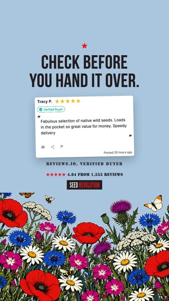 Wildflowers Made Simple