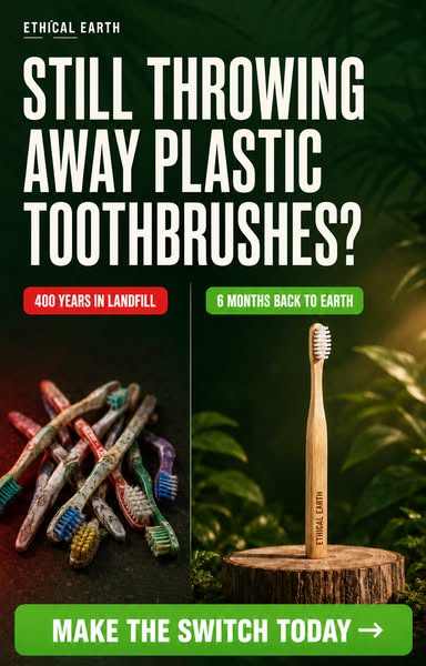 50% Off Bamboo Toothbrush
