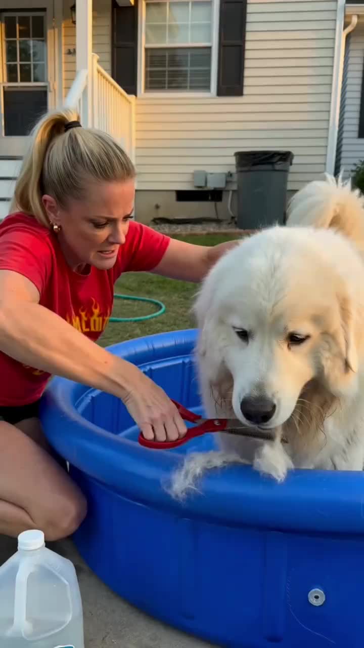 New Pet Pro Grooming Tool