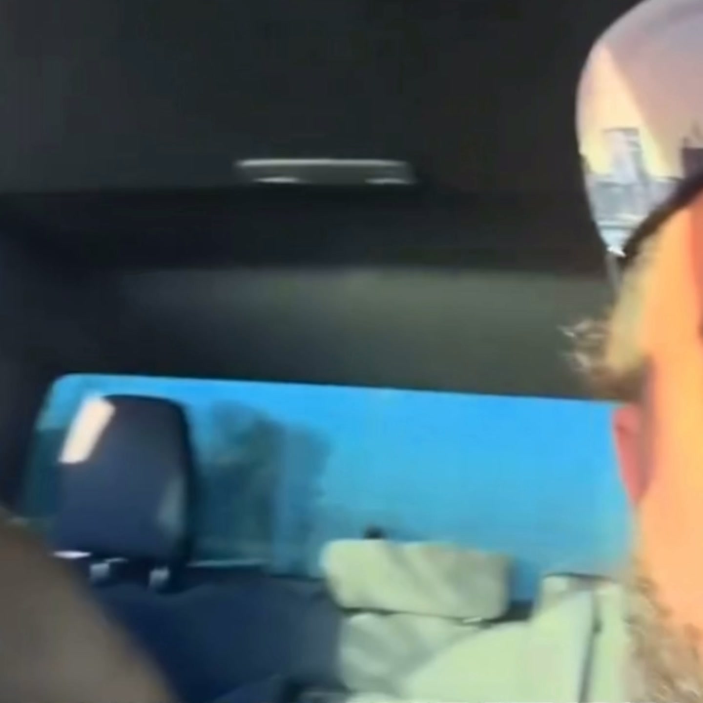 Protege tu coche del pelo de tu perro