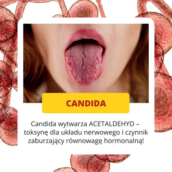 Candida produkuje ACETALDEHYD – truciznę dla układu nerwowego i substancję zaburzającą równowagę hormonalną