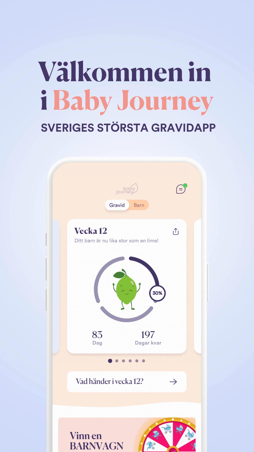 Allt om din graviditet