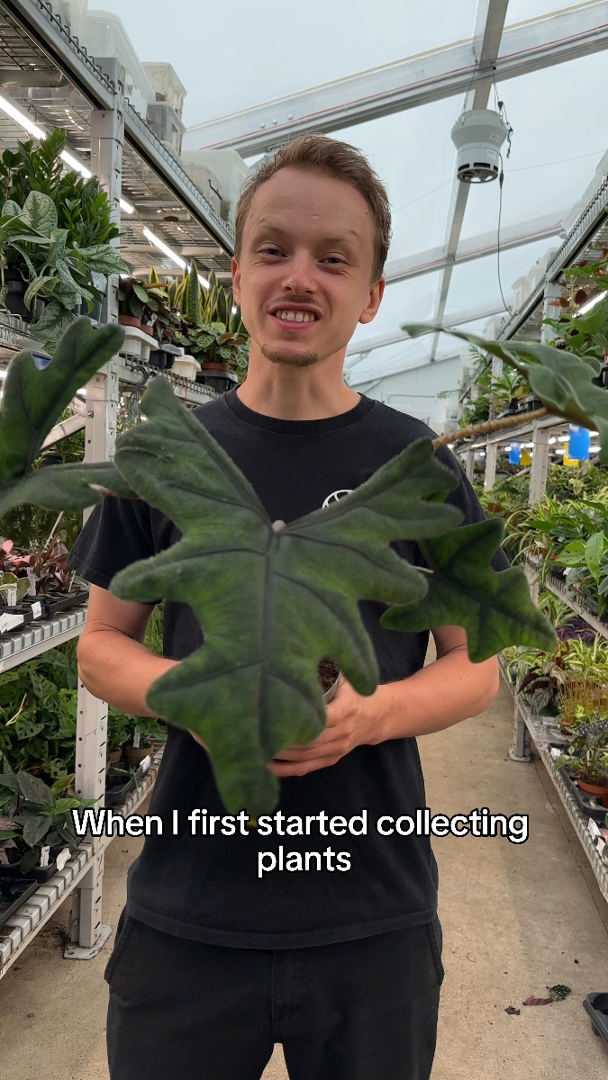 Hear it from our Founder Otto!