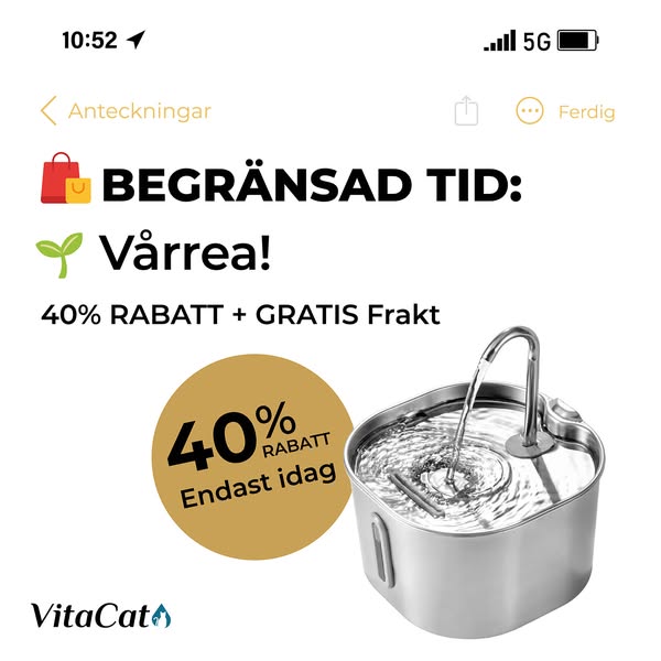 Visa omsorg och ge din katt fräschare vatten