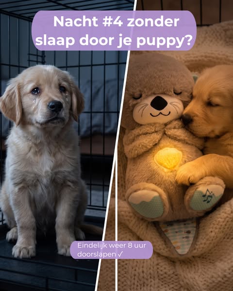 Eindelijk 8 uur doorslapen
