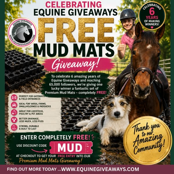 FREE Entry With Code MUD6