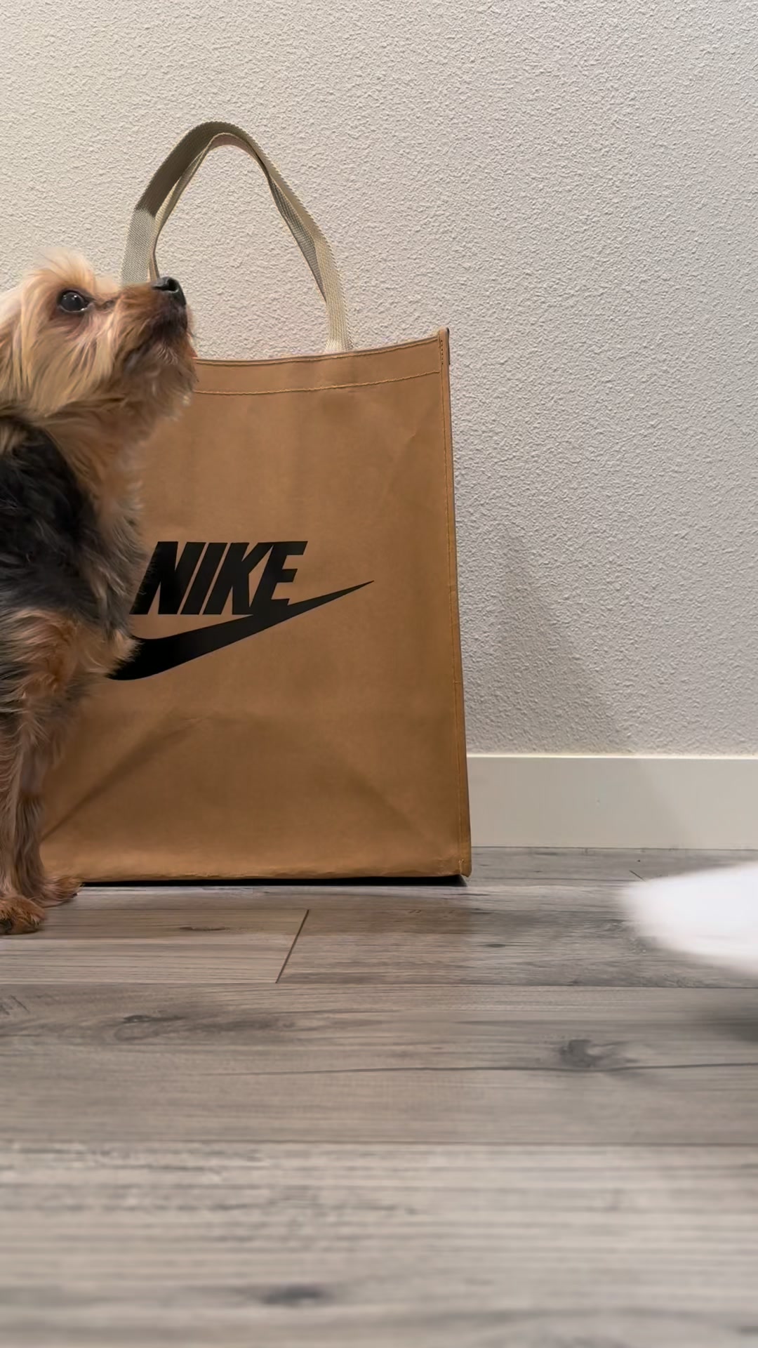 Premium Running Style + 3 Free Socks