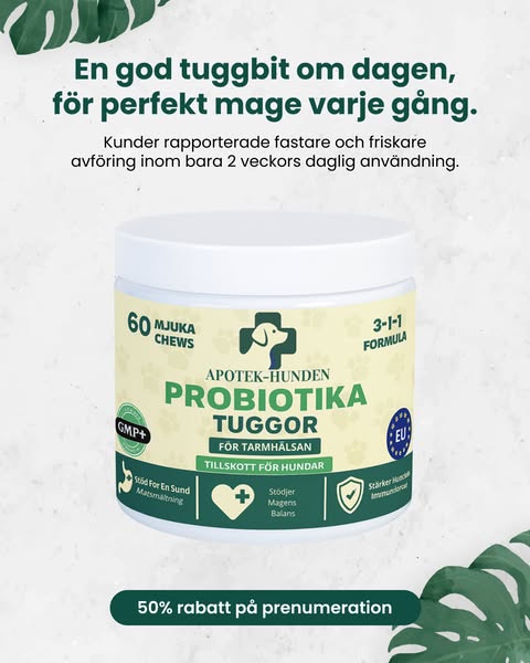 25,000+ hundar kan inte ha fel